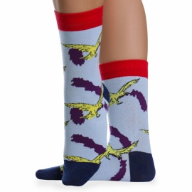Носки хлопковые с ярким принтом " Super socks LTB-208 " голубые р:37-43